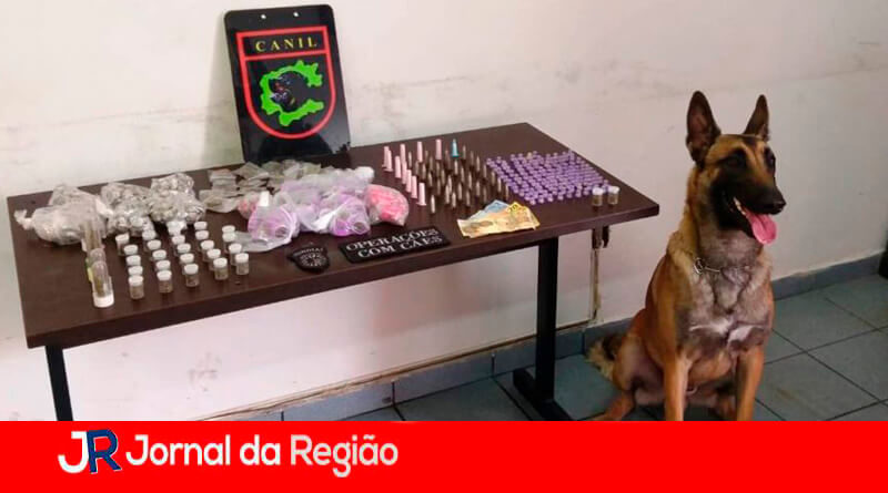 Canil da Guarda Municipal de Jundiaí. (Foto: Divulgação)