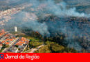 Incêndio no Morro da Baleia. (Foto: Daniel Carrero)