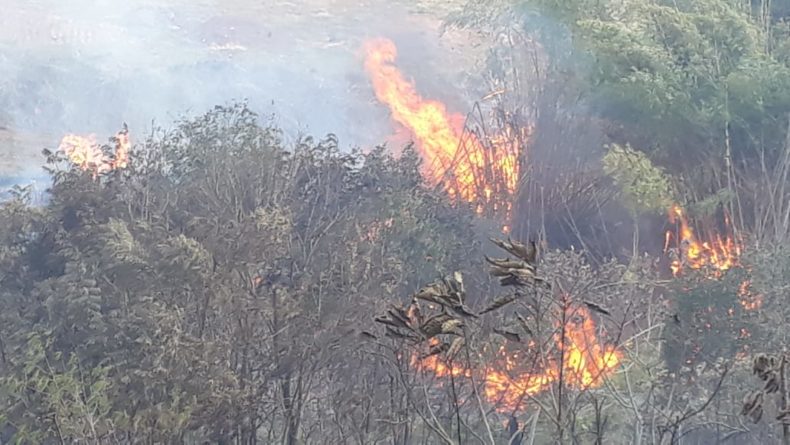 fogo bairro dos fernandes 6