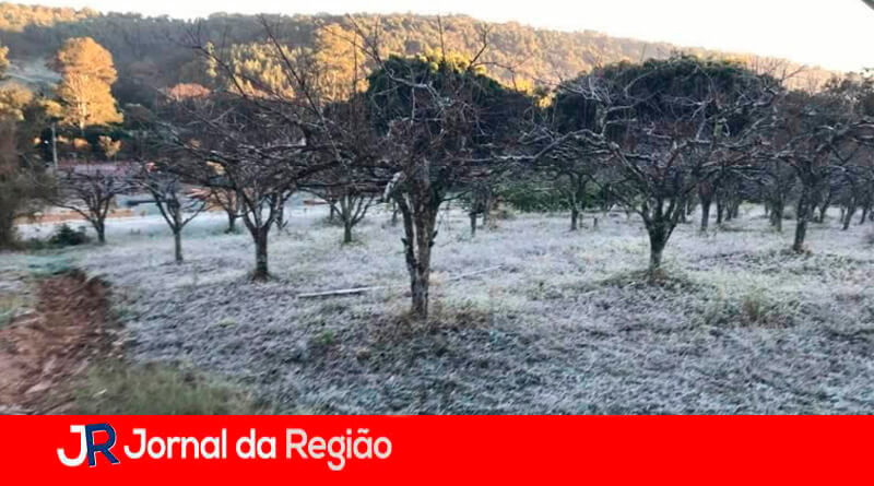 Geada em Jundiaí. (Foto: Leitor Thiago)