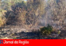 Incêndio em Campo Limpo Paulista. (Foto: Divulgação)