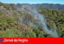 Incêndio na Serra do Japi. (Foto: Divulgação)