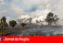 terreno queimado fogo mato copiar