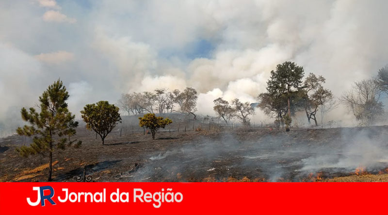 terreno queimado fogo mato copiar
