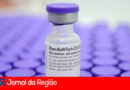 Vacina Pfizer. (Foto: Divulgação)