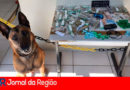 Canil da GMJ. (Foto: Divulgação)