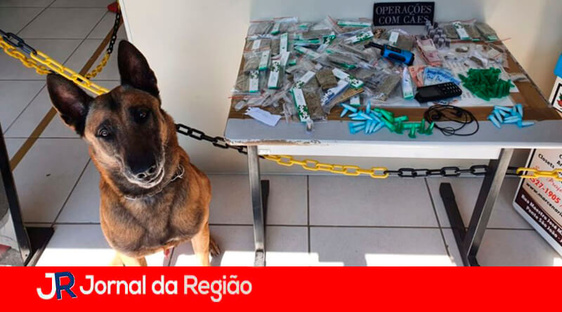 Canil da GMJ. (Foto: Divulgação)