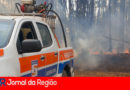 Incêndio na Fazenda Venâncio. (Foto: Divulgação)