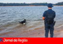 Cão Max do canil de Itupeva. (Foto: Divulgação)