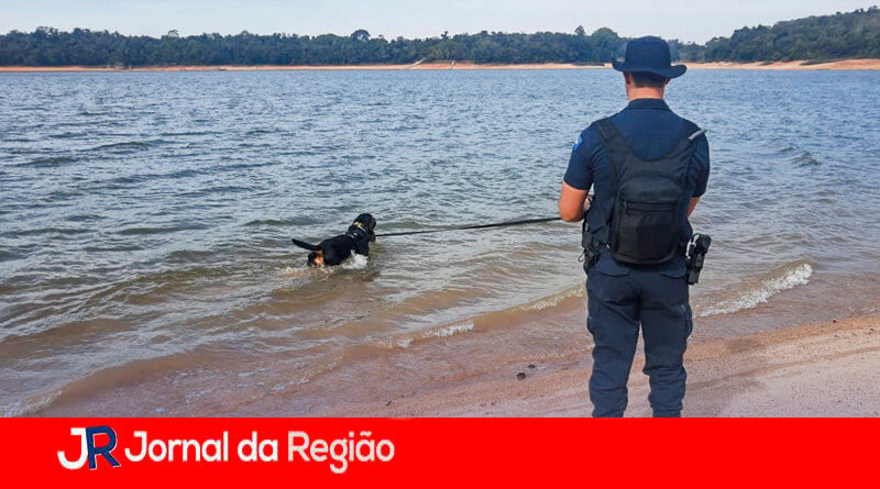 Cão Max do canil de Itupeva. (Foto: Divulgação)