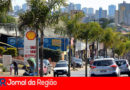 Palmeira em Várzea Paulista. (Foto: Divulgação)