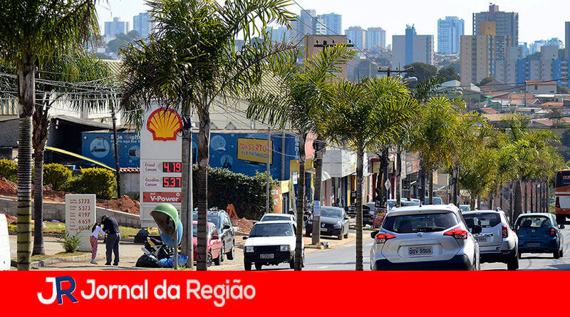 Palmeira em Várzea Paulista. (Foto: Divulgação)