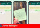 WhatsApp: visualização única. (Imagem: Divulgação/WhatsApp)