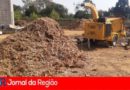 compostagem cabreuva
