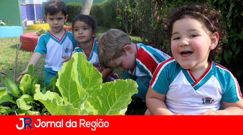Projeto Horta de Campo Limpo Paulista. (Foto: Divulgação)
