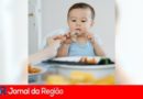 introducao alimentar