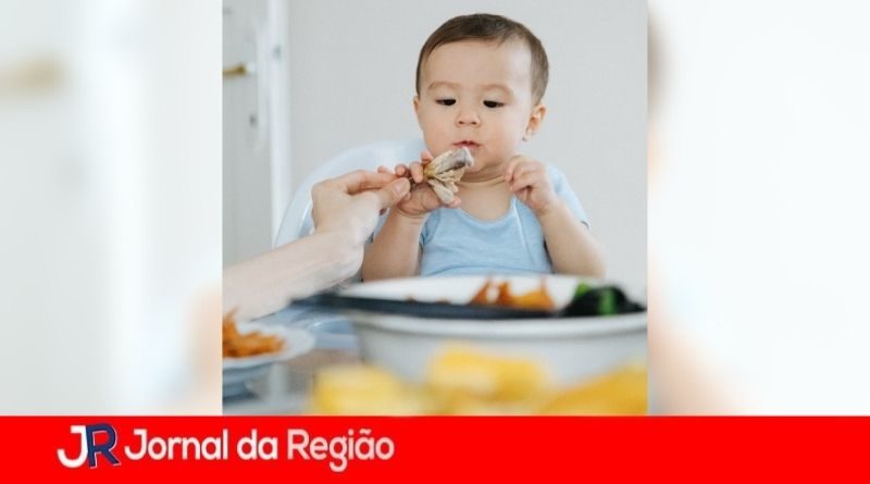 introducao alimentar