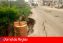 Marginal do Rio Jundiaí. (Foto: Divulgação)