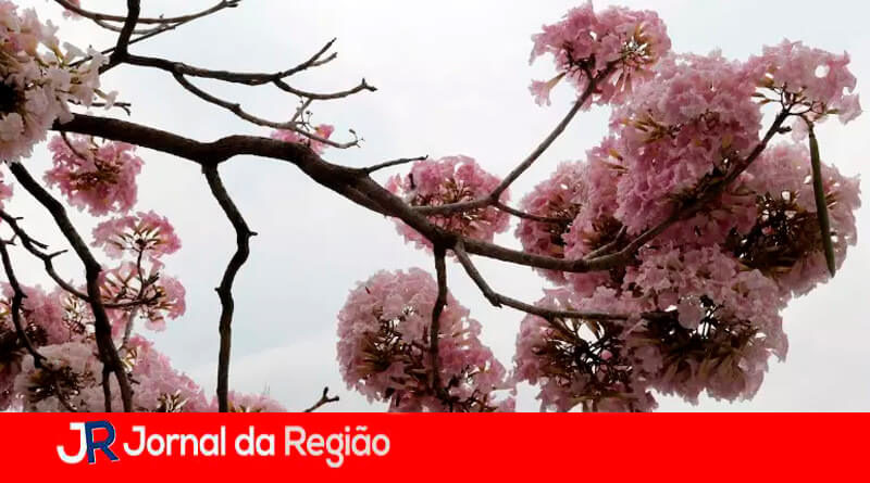Início da Primavera. (Foto: Divulgação)