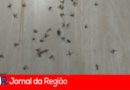 84C459C5 0378 4EF6 9564 74D30EA491BC