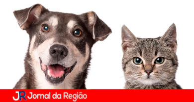 Feira de adoção. (Foto: Divulgação)