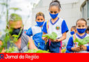 Projeto Horta de Itupeva. (Foto: Divulgação)