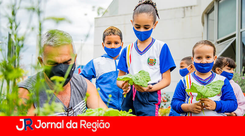 Projeto Horta de Itupeva. (Foto: Divulgação)