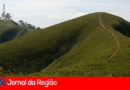 Mursa. (Foto: Divulgação)