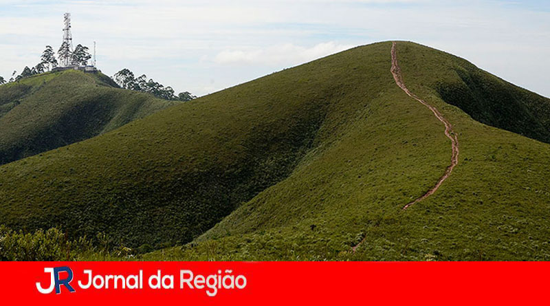 Mursa. (Foto: Divulgação)