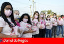 Pedágio Rosa. (Foto: Divulgação)