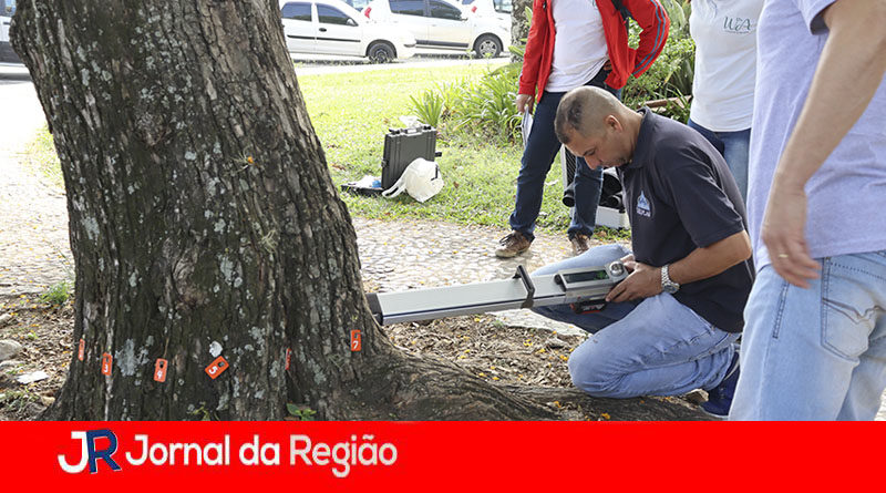 Árvores de Campo Limpo Paulista. (Foto: Divulgação)