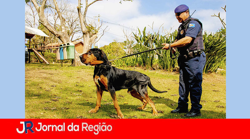 Cão farejador Max. (Foto: Divulgação)
