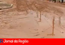 vila palma bruno copia