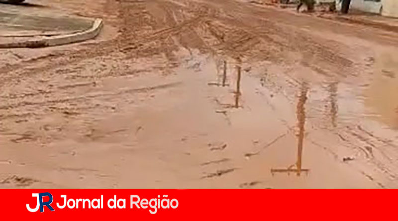 vila palma bruno copia