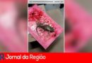 181B8AD7 D563 48E9 B7AB 308C41C613A6