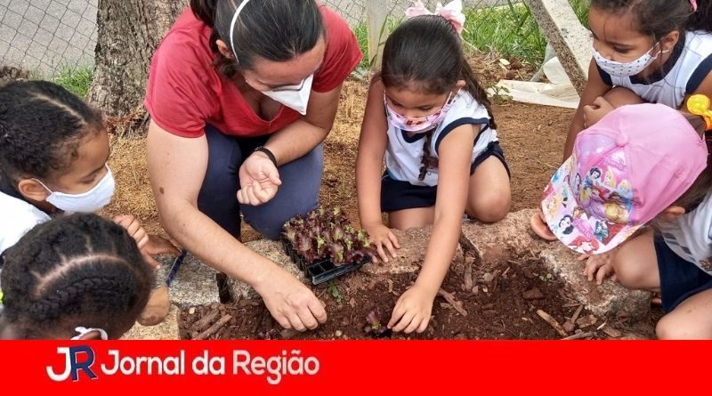composteira