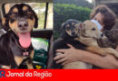 Pracinha dos Dogs. (Foto: Divulgação)