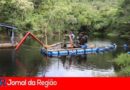 represa da serra limpeza 8