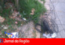 fios soltos copia