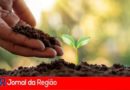 Mundo das Crianças será palco de mais uma ação de plantio