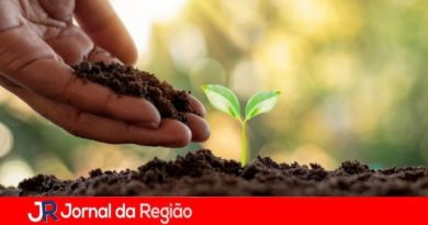 Mundo das Crianças será palco de mais uma ação de plantio