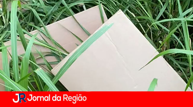 CARGA DE CIGARROS NO MATO copia