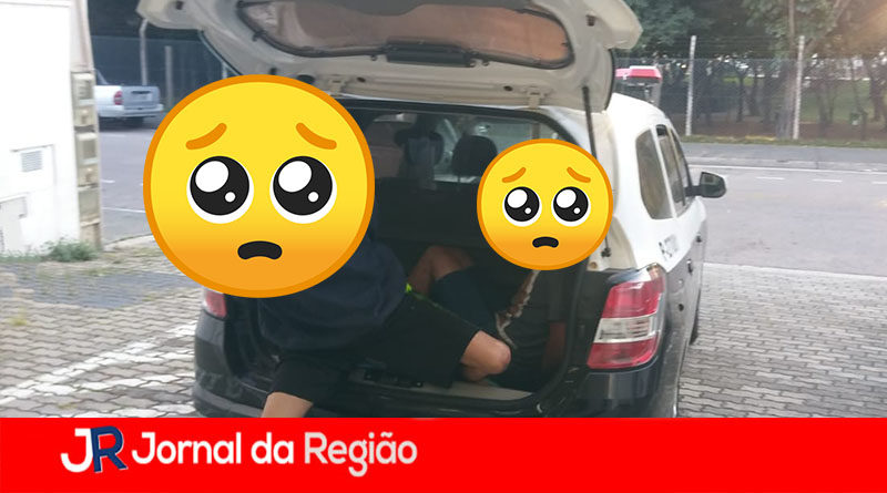 PRISAO 5 DP