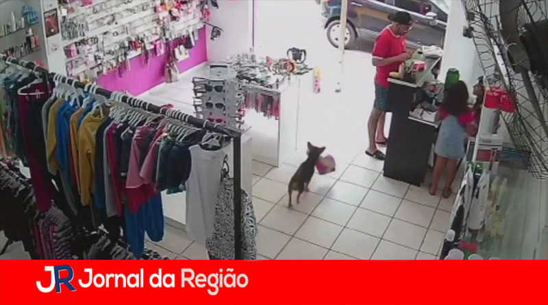 Sem Titulo 1