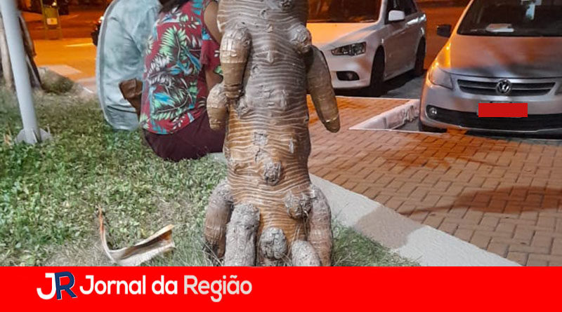 ARVORE NO HPS