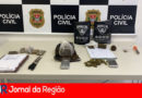 DISE SKUNK copia