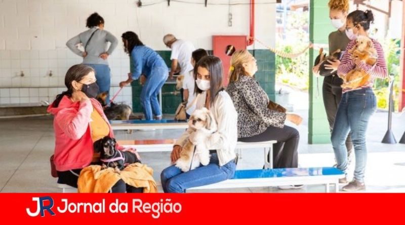 castracao Cabreuva
