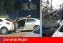 galho carro