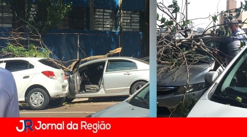 galho carro