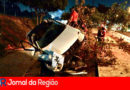 CARRO CONTRA ARVORE copia